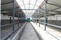 Estábulo de aço e construção da oficina estrutural de aço pré-fabricada do armazém fornecedor