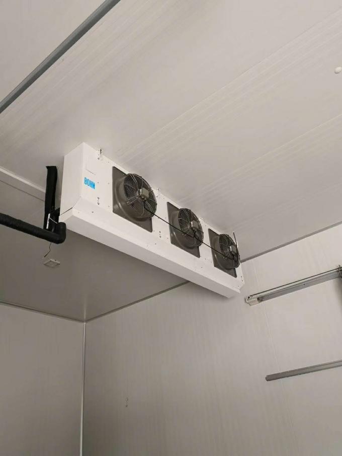Sala fria personalizada do congelador da câmara para a caminhada do armazenamento do marisco nos painéis mais frescos para a indústria comercial 2
