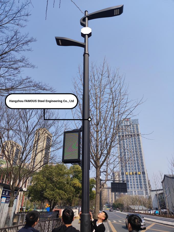Cargo esperto exterior personalizado da lâmpada da iluminação de rua do metal de Polos da luz de rua 3